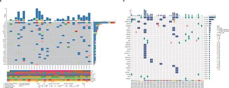 The Landscape Of High Frequency Genomic Alterations Genes With Somatic Download Scientific