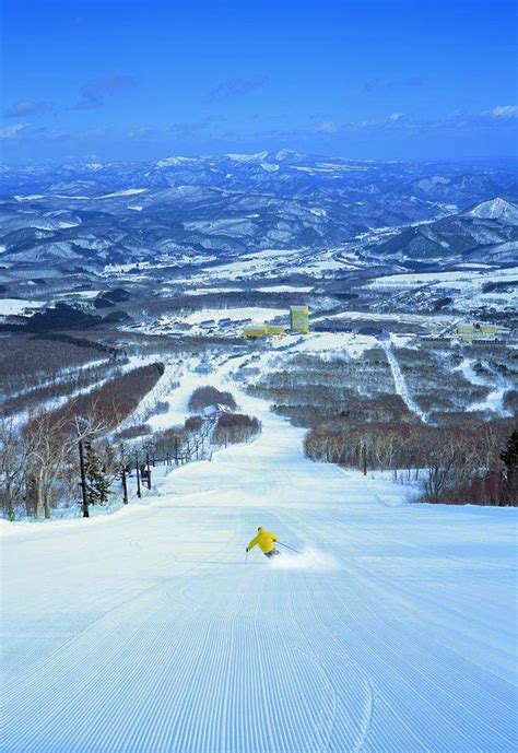 林公子生活遊記 東北【岩手】同時可以享受滑雪和櫻花的岩手縣 追櫻八幡平盾形火山線／楓葉・雪廊 八幡平市 可同時欣賞岩手縣雪景！