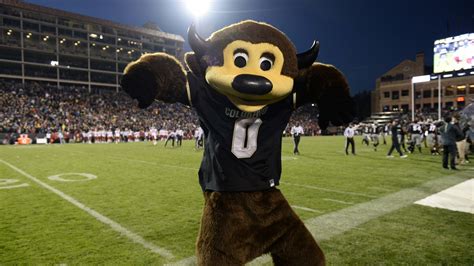 Colorado mascot accidentally shoots self with t-shirt gun | Yardbarker.com