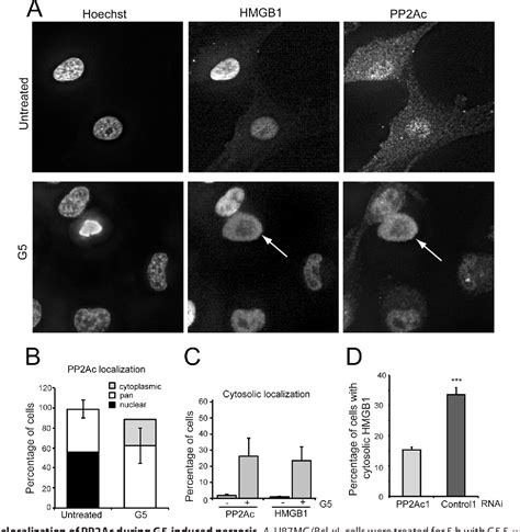 Figure From A Receptor Interacting Protein Rip Independent