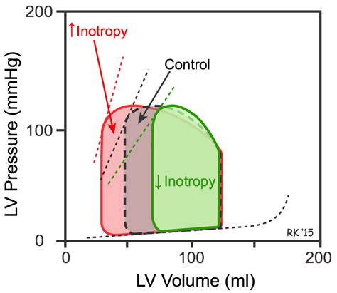 CV Physiology Effects Of Preload Afterload And Inotropy On