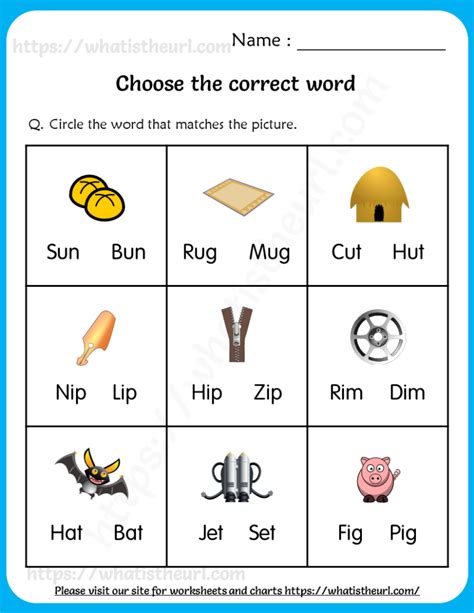 Choose The Correct Word Worksheets For Grade Your Home Teacher