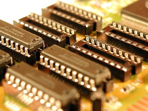 foto gratis chip macro immagine