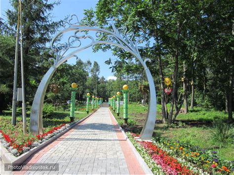 Аллея любви, Артём | отзывы