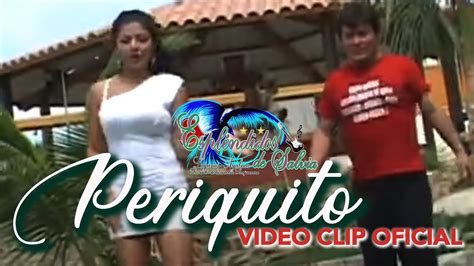 Periquito Espléndidos de Salvia Video Clip Oficial YouTube Music