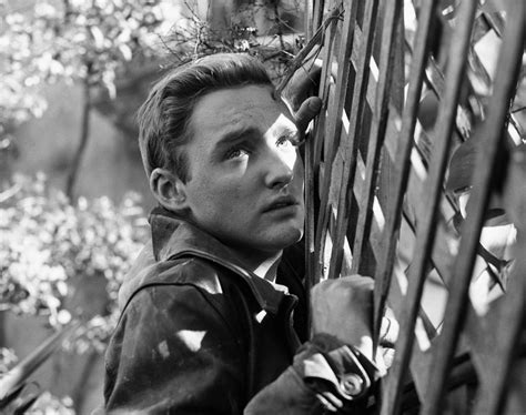 dashing   young dennis hopper  showcase  charismatic