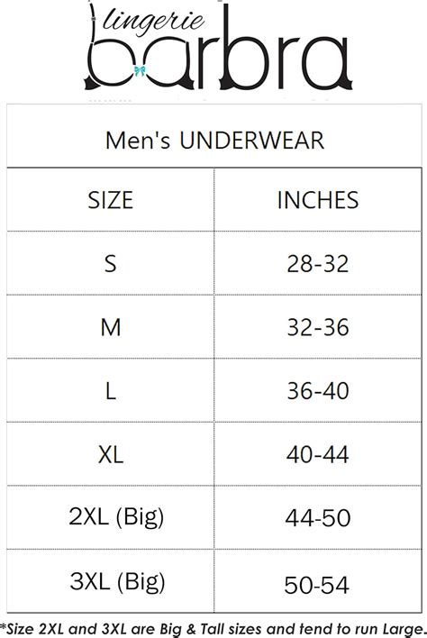 Barbra Lingerie Mens Satin Bikini Briefs Panties S To Xl Silky Sexy Mens Underwear Multi Pack