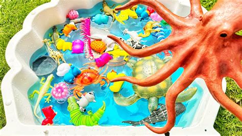 Learn animal names for babies toddlers kids - YouTube