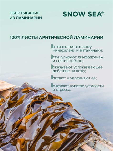 Фитосалфетка из ламинарии для обертывания, 3 кг купить в интернет ...