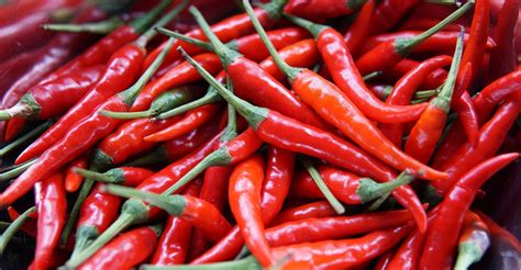 9 Ways To Preserve Fresh Chile Peppers Foodprint