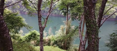 Onsen Hot Spring Addict In Japan July 2025