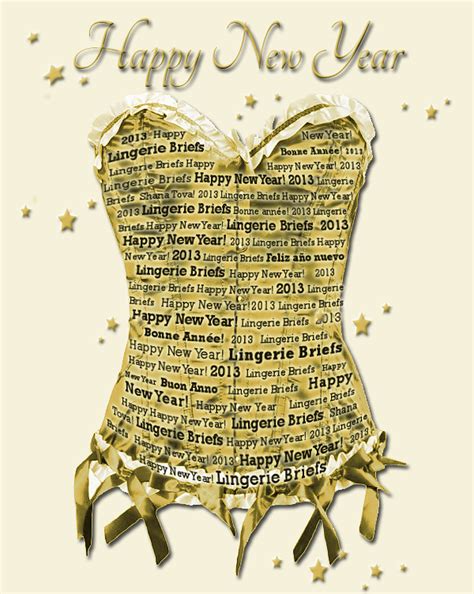 Create Something Unique This Year Lingerie Briefs By Ellen Lewis