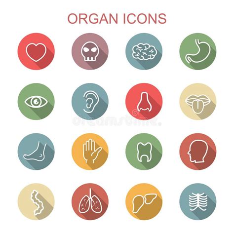 Set Of Flat Icons With Human Internal Organs Stock Vector