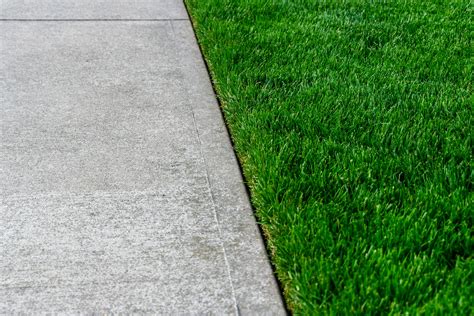 How to Edge Your Lawn