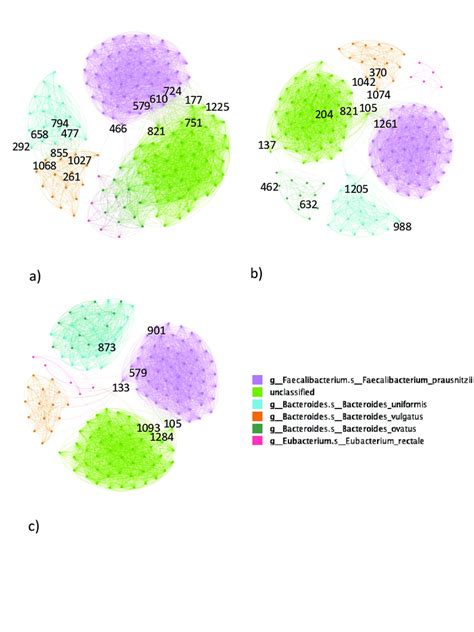 Correlation Networks Of Prevalent Metagenomic Pathways In A Ni Download Scientific Diagram