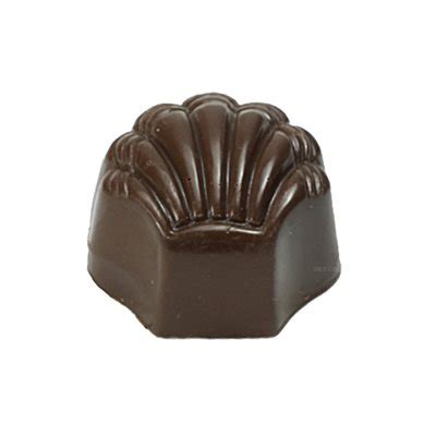 Sea Shell Polycarbonate Chocolate Mold