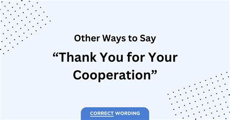 11 Alternatives To Thank You For Your Cooperation”