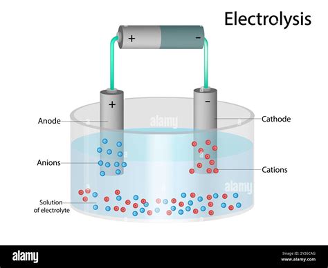 Electrolysis Solution Of Electrolyte Cations And Anions Cathode And