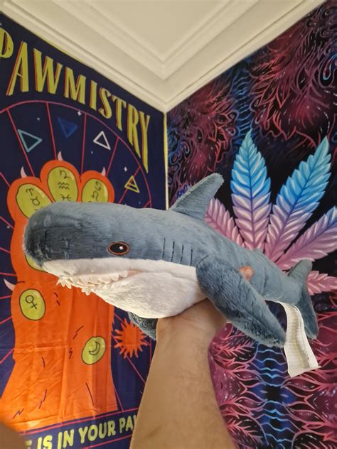 I have aquiered my first blahaj OwO, now i feel like i need to get him