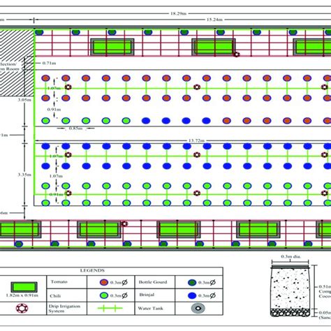 Design Layout Of The Experimental Plot Download Scientific Diagram