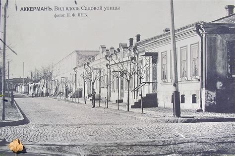 Аккерман. Часть 1: humus — LiveJournal