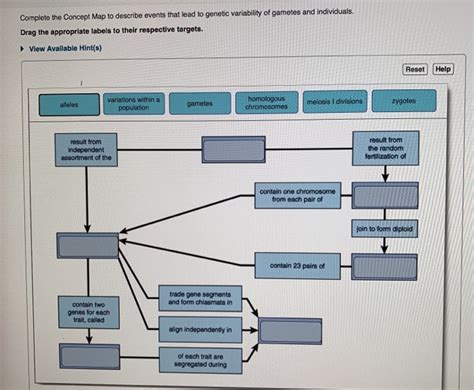 Solved Complete The Concept Map To Describe Events That Lead Chegg