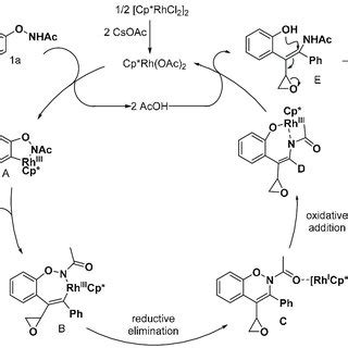 Scheme Proposed Reaction Mechanism Scheme Proposed Reaction