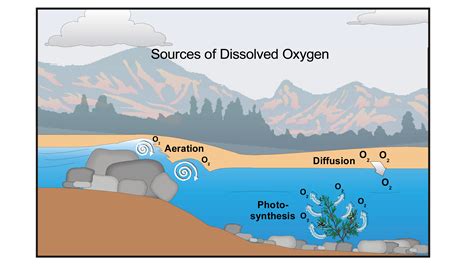 Biochemical Oxygen Demand Vernier