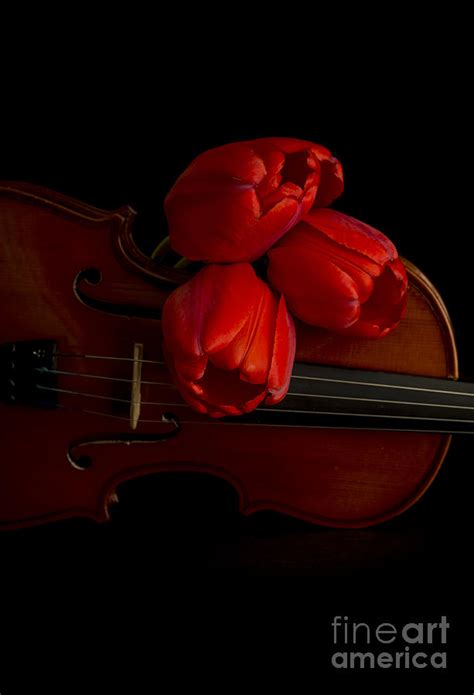 Let Us Make Beautiful Music Together Photograph By Edward Fielding Fine Art America