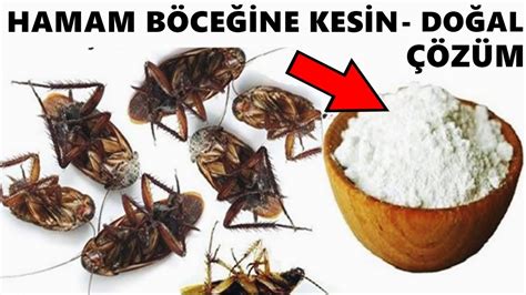 Meyella uslu açık hamam böceklerine etkili ilaç hazne Özel Rehin