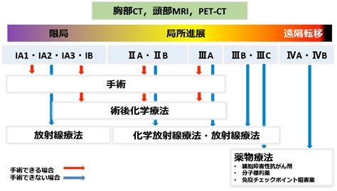 肺がん 診療案内 信州大学 医学部外科学教室 呼吸器外科学分野