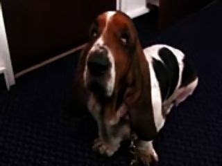 SEXY HOT MOM HARD SEX ON BED IN LINGIRE JP SPL Hotntubes