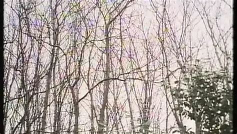 Une Femme Nommee Desir 1986 France German Dub Dvd Porn D7 XHamster