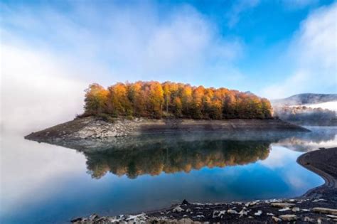 Selva De Irati Navarra Fueradeserie Viajes