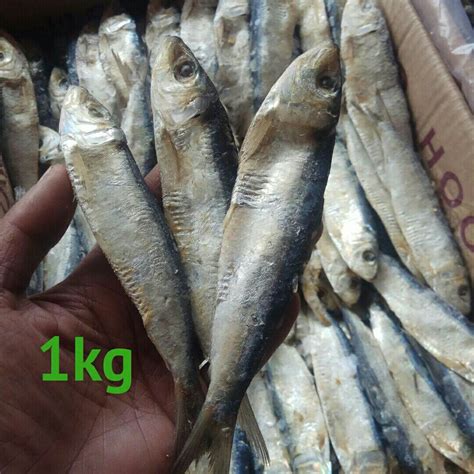 Ikan Asin Tembang Kg Gram Gram Lazada Indonesia