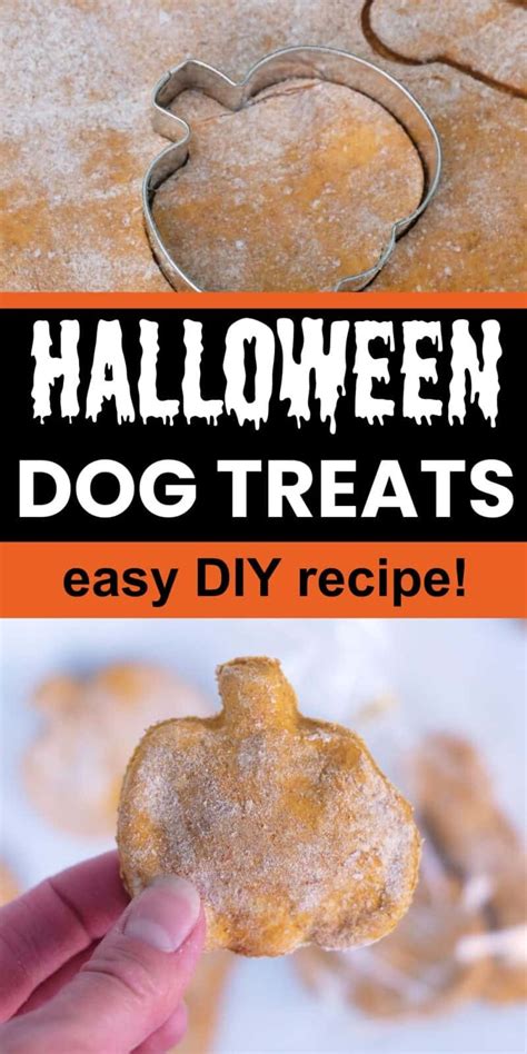 Easy Homemade Halloween Dog Treats | It's A Vizsla