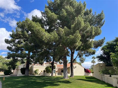 10033 N 52nd Pl Paradise Valley Az 85253 Trulia