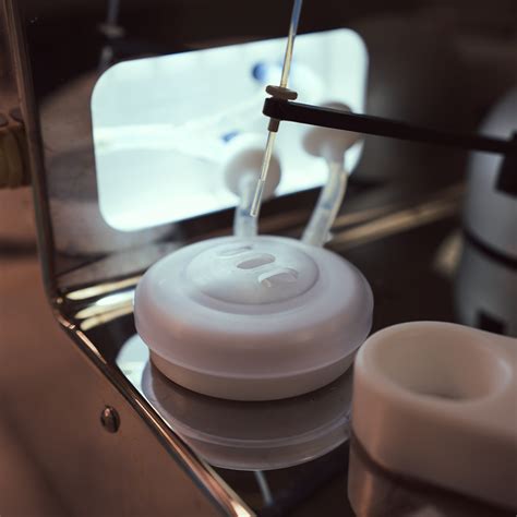 Lactobacillus reuteri – our patented probiotic | BioGaia NZ – BioGaia ...