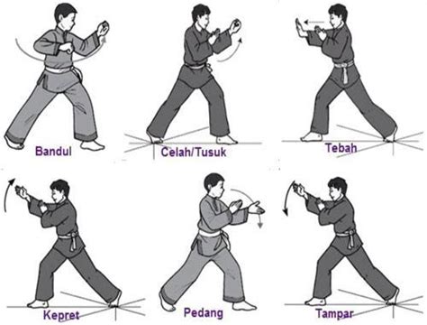 Learn Pencak Silat Techniques APK for Android Download