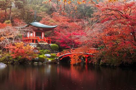 Hd Wallpaper Temples Daigo Ji Bridge Fall Garden Japanese Garden