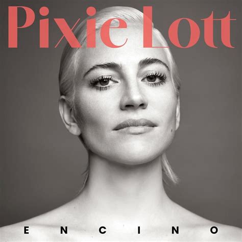 Pixie Lott Fight Or Flight Lyrics Genius Lyrics