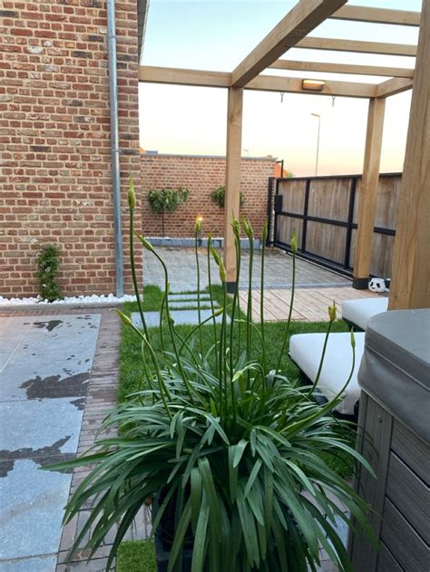 small modern garden modern garden garden plants