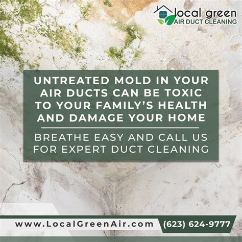 Local green Air Duct Cleaning - Did you know that untreated mold in