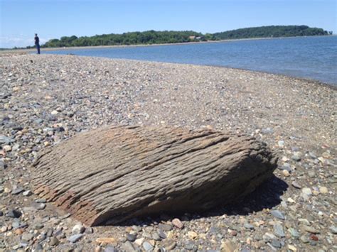 Finding The Real Shutter Island In Boston Harbor Travelmag