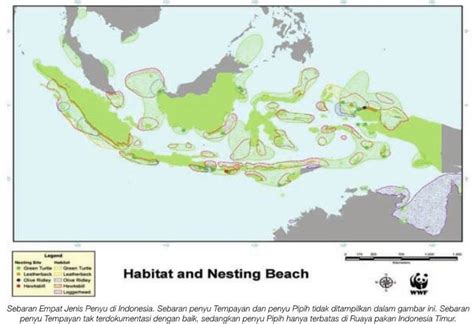 Gambar 10 Peta Habitat Dan Peneluran Penyu Di Indonesia Adnyana