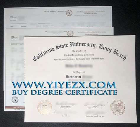 How To Purchase A Csulb Diploma With Transcript 加州州立大学长滩分校文凭成绩单定制