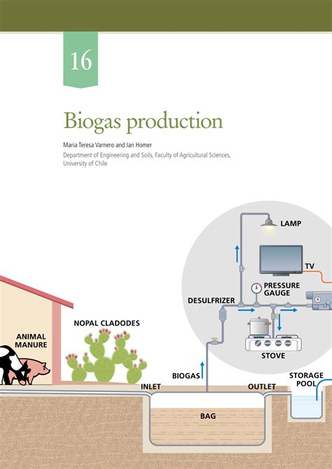 PDF Biogas Production