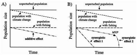 Additive Versus Synergistic Effects Of Climate Change And Exploitation