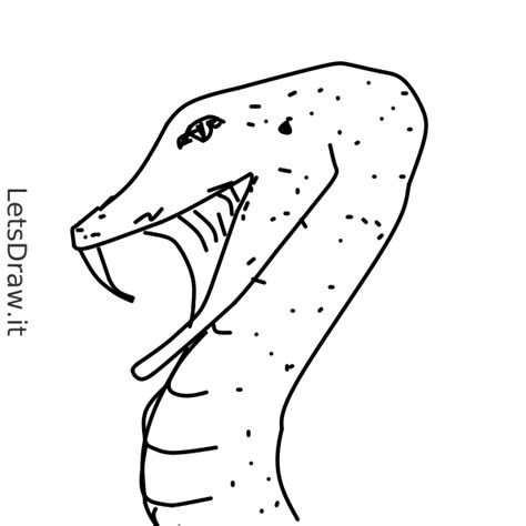 draw snake dwoupng letsdrawit