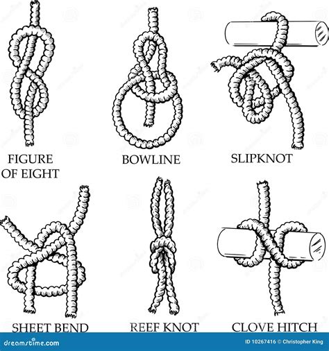 A Collection Of Knots And Hitches Illustrations Royalty Free Stock